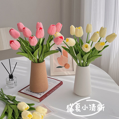 生喜朗客厅室内郁金香手感舒适