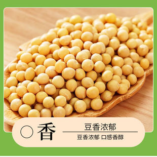 东北非转基因黄豆高蛋白24年新豆豆浆豆腐用豆农家自种便宜榨豆油