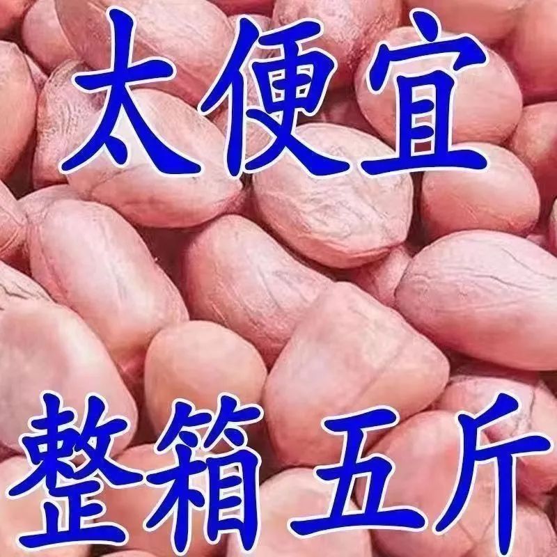 当季新货精选白沙大粒花生米无壳花生新鲜油炸花生米榨油商用批发