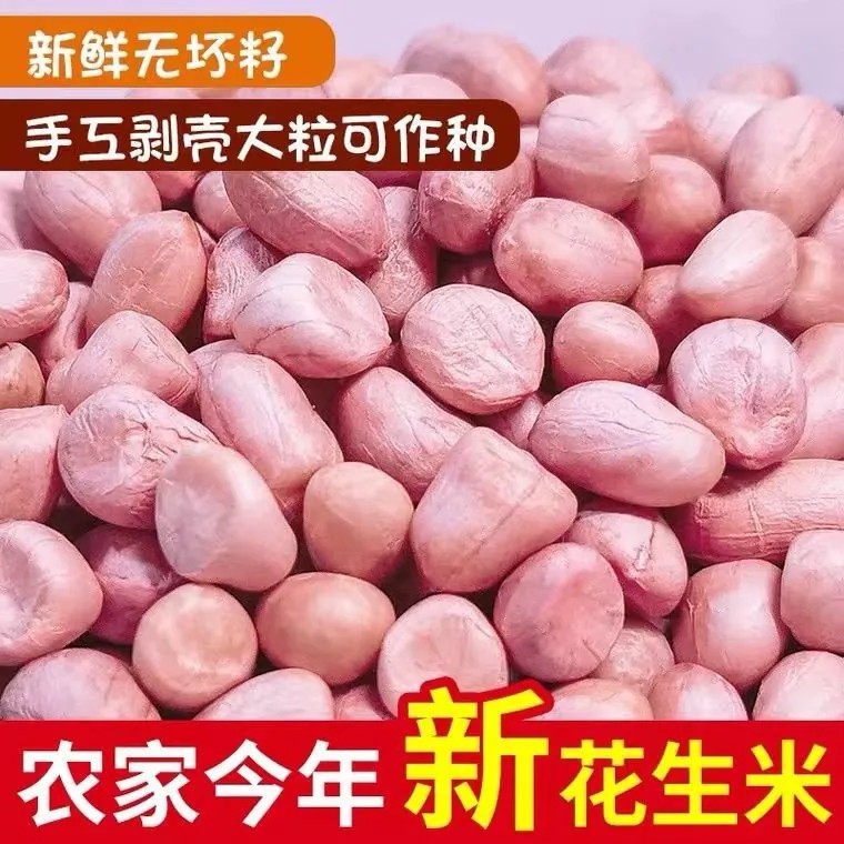 2026年新花生米山东新货大颗粒白沙农家新鲜大粒生花生仁5斤生的图片