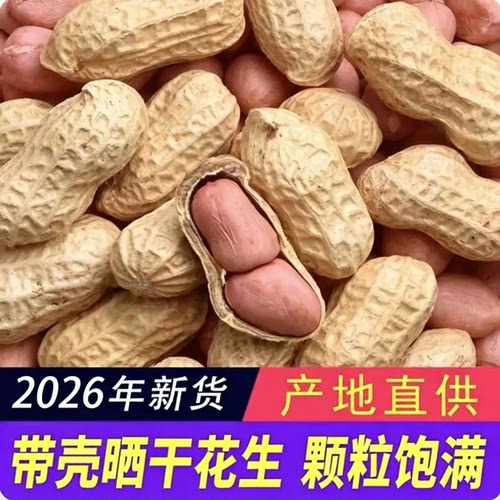 当季新货晒干带壳生花生白沙