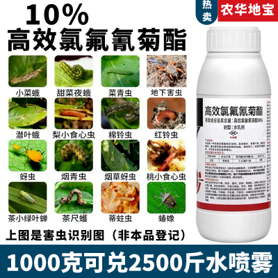 杀虫剂10%高效氯氟氰菊酯