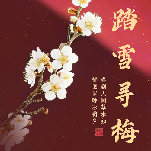 踏雪寻梅梅花助眠清香沉香檀香
