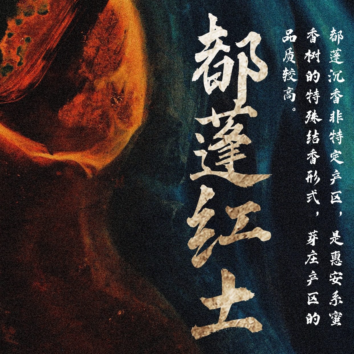 【都蓬红土】沉水天然持久茶室沉香香薰香料家用安神静心养生香,洗护清洁剂/卫生巾/纸/香薰,中式香/经典熏香,淘宝优惠券,粉丝福利购,淘宝优惠卷