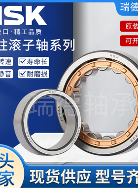 NSK进口圆柱滚子轴承NUP203 NUP204 NUP205 NUP206 NUP207 E/EM