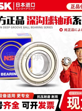 NSK日本原装进口轴承6013 6014 6015 6016 6017 6018 6019ZZ/DDU