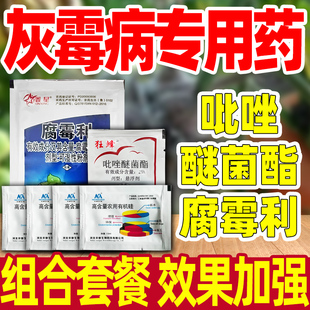 灰霉病专用药灰霉病杀菌剂灰霉病克星农药正品灰毒病杀菌剂腐霉利