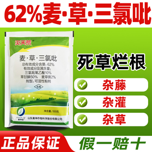 62%麦草三氯吡除草剂杂腾杂灌杂草专用除草剂克星正品农药灭天荒