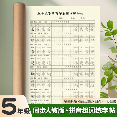 练字帖小学语文五年级上下册练习