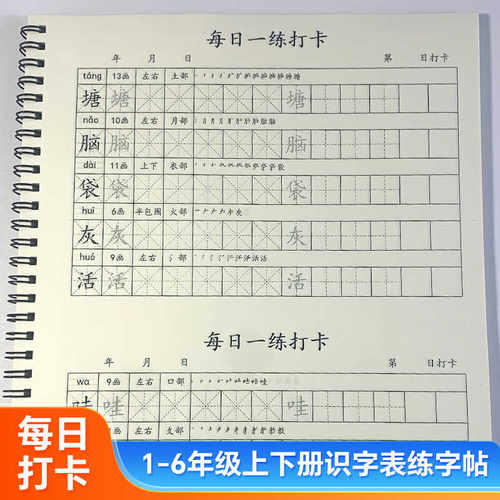 每日一练打卡小学生练字帖识字表