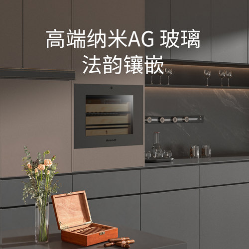 Brandt嵌入式恒温恒湿雪茄柜高端BL-X50