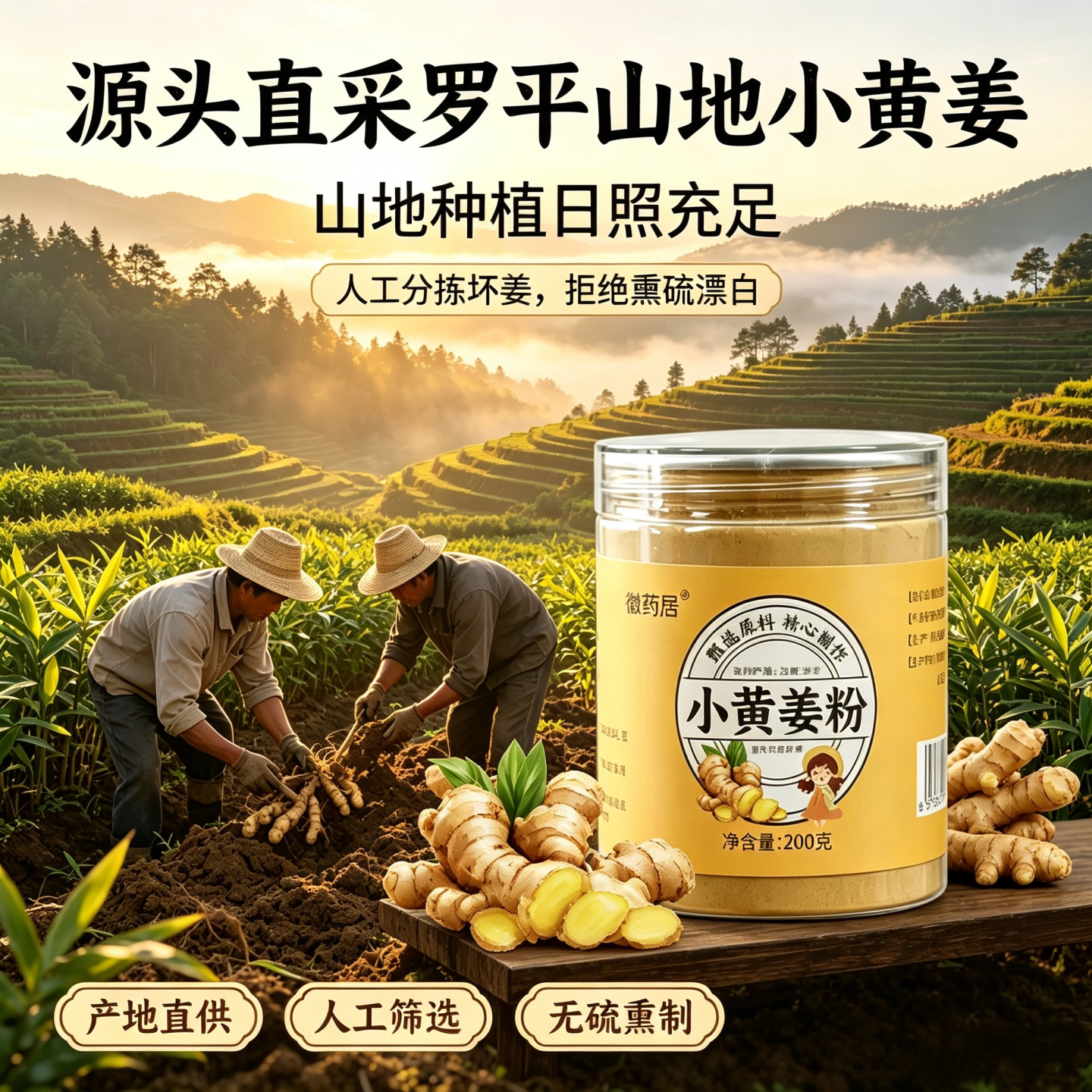 云南罗平小黄姜纯生姜正品