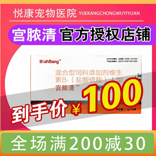 大梆宫脓清宠物猫咪狗狗子宫蓄脓感染内膜炎子宫积液恶露流血假孕