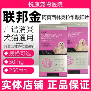 联邦金阿莫西林克拉维酸钾片宠物猫咪狗狗感冒消炎皮肤感染泌尿