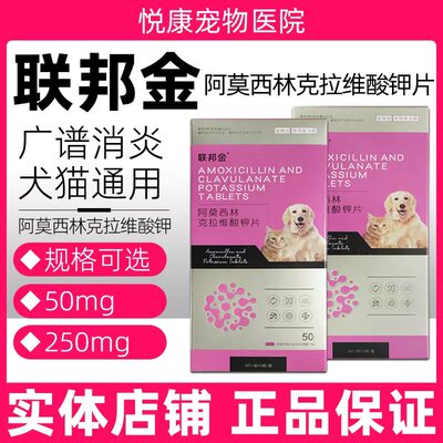 联邦金阿莫西林克拉维酸钾片宠物猫咪狗狗感冒消炎皮肤感染泌尿