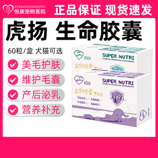 台湾虎扬life生命胶囊甲鱼蛋宠物猫咪狗狗免疫力低下促进泌乳爆毛