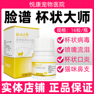脸谱杯状大师杯状病毒宠物猫咪鼻支杯状病毒口炎流口水流泪