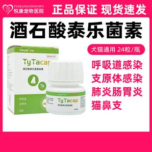 派维酒石酸泰乐菌素胶囊宠物猫咪狗狗肺炎支气管炎支原体感染咳嗽