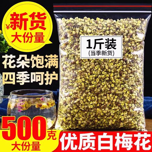 绿萼梅白梅花梅花苞干泡茶