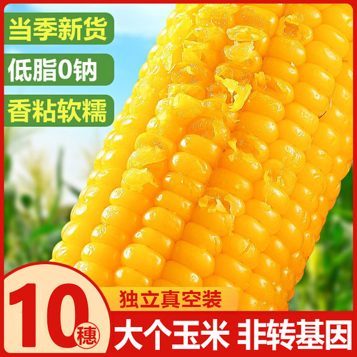 10支黄糯粘玉米真空袋装加热即食