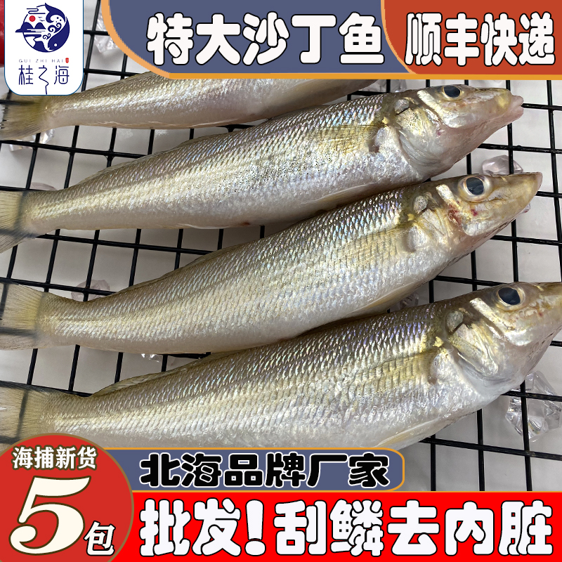 北海沙丁鱼新鲜冷冻去内脏深海鱼【7-9条/包】5包特大沙尖沙钻鱼