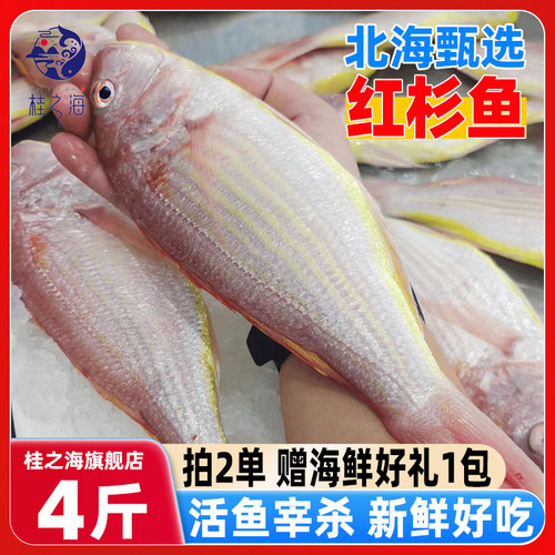 北海红杉鱼新鲜冷冻深海鱼去鳞鳃去内脏红衫鱼冰鲜大号红三鱼海鲜
