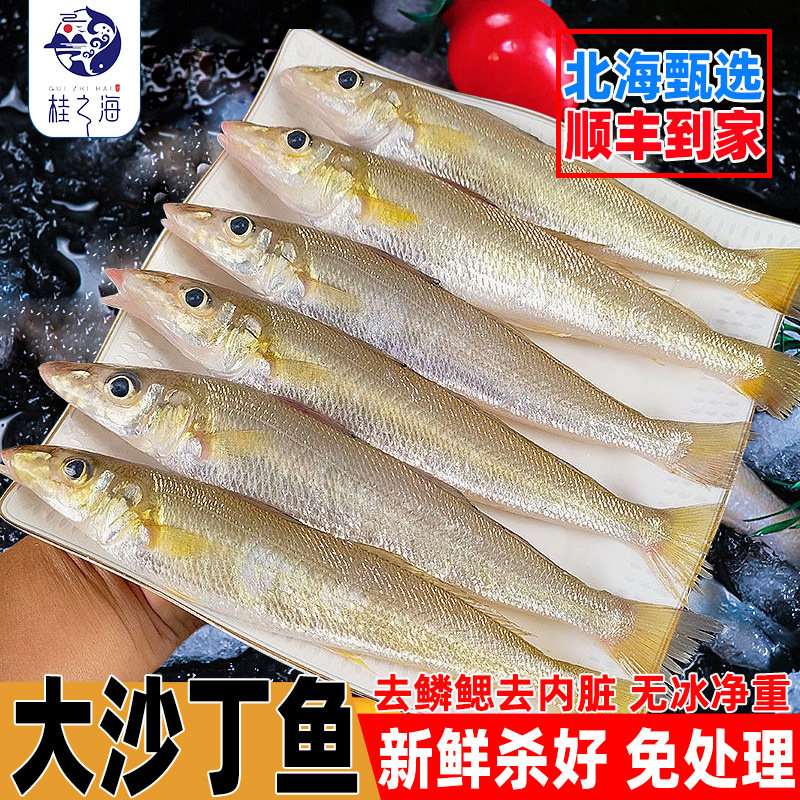 北海沙丁鱼超大号新鲜冷冻海鱼去鳞去内脏沙钻鱼沙锥鱼冰鲜沙尖鱼