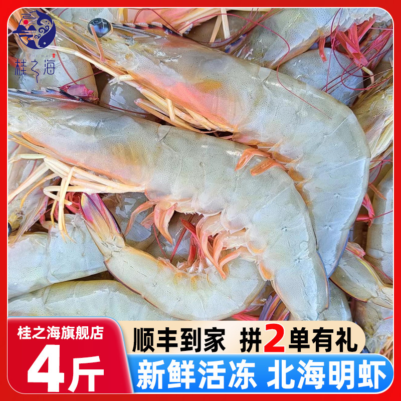 北海明虾鲜活速冻深海虾新鲜冷冻对虾海捕白虾冰鲜大虾白灼九节虾
