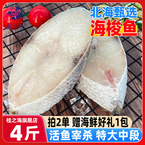 北海海狼鱼切片特大吹鱼中段新鲜冷冻深海鱼免处理鱼排扒金梭鲅鱼