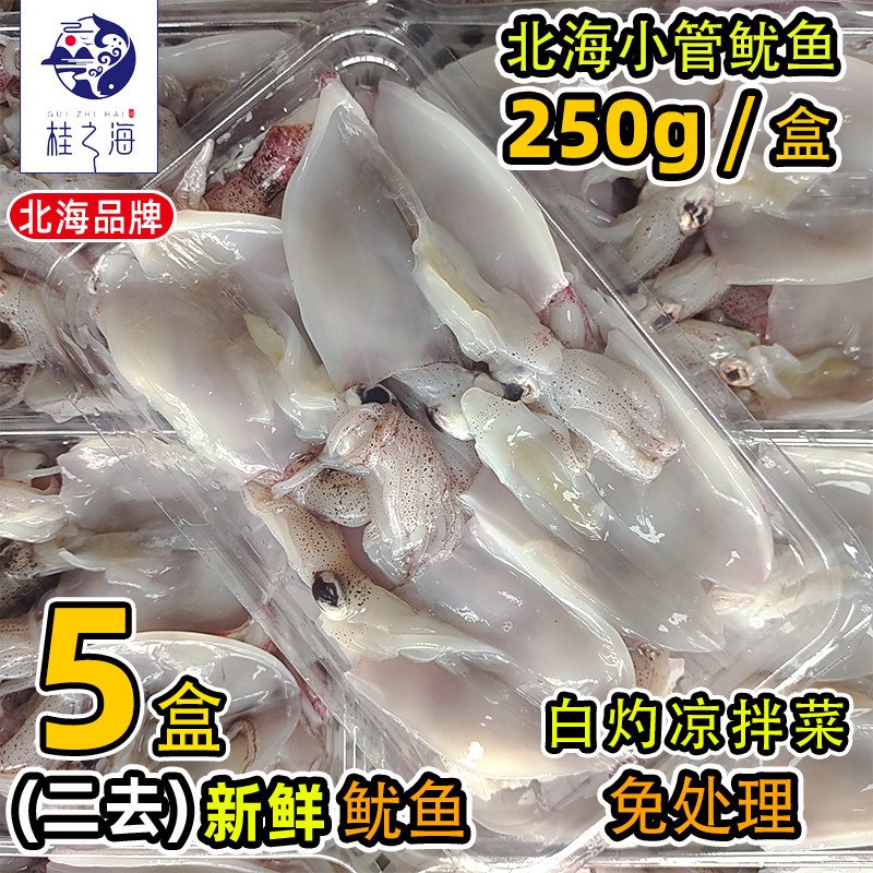 北海鱿鱼片新鲜杀好冷冻免处理小管去内脏海兔火锅凉拌生鲜笔管鱼
