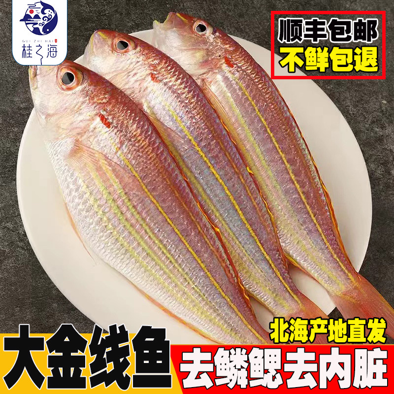 北海金线鱼新鲜冷冻深海鱼去鳞鳃去内脏冰鲜大号金丝鱼海鲜刀鲤鱼