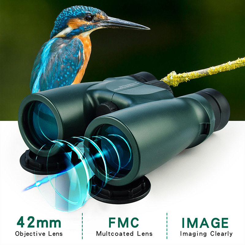 充氮防水双筒望远镜10&times;42高倍高清ed款户外旅行观鸟寻蜂