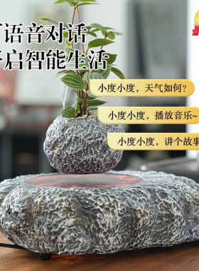 磁悬浮盆栽花创意盆景植物负离子净化空气AI智能音响家居办公