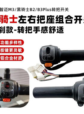 电动车赛鸽黑骑士A10/B2/B3PLUS组合开关喇叭启动双闪变速转把总