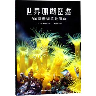 300幅珊瑚鉴赏图典 小林道信 著; 正版 社有限公司 世界珊瑚图鉴 中国民族文化出版 9787512210592 图书