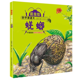 蜣螂 昆虫绘•铁甲清道夫 付赛男 未来出版 9787541765766 正版 社 图书