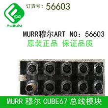 现货murr穆尔现场总线模块56601 56603 56613 56620 56621 56623