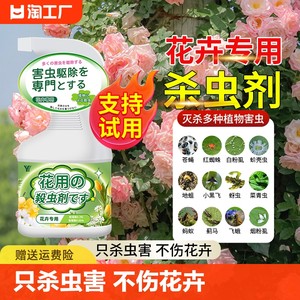 花卉杀虫剂月季花草病虫害常用药植物灭害百虫灵通用除虫栀子通用