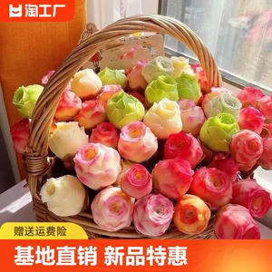 山地玫瑰多肉植物盆栽精品水蜜桃酒杯粉耶罗鸡蛋阳台室内桌面绿植