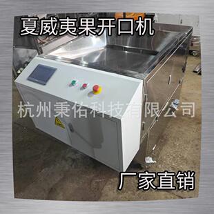 坚果加工设备夏威夷果切口机全自动夏威夷果开口机夏威夷果锯口机