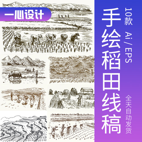 手绘稻田线稿素描线描农村乡村耕种插秧农田水稻种植插画矢量素材