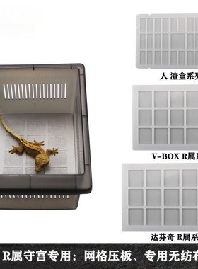 爬宠无纺布垫材vbox饲养盒掌上名蛛r属专用爬盒垫纸睫角盖勾亚