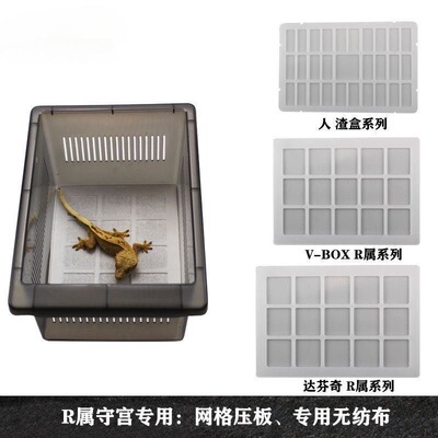 爬宠无纺布垫材vbox饲养盒掌上名蛛r属专用爬盒垫纸睫角盖勾亚