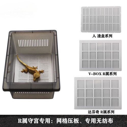 爬宠无纺布垫材vbox饲养盒掌上名蛛r属专用爬盒垫纸睫角盖勾亚