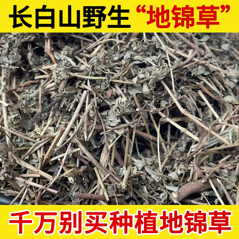 长白山野生地锦草中药材500g