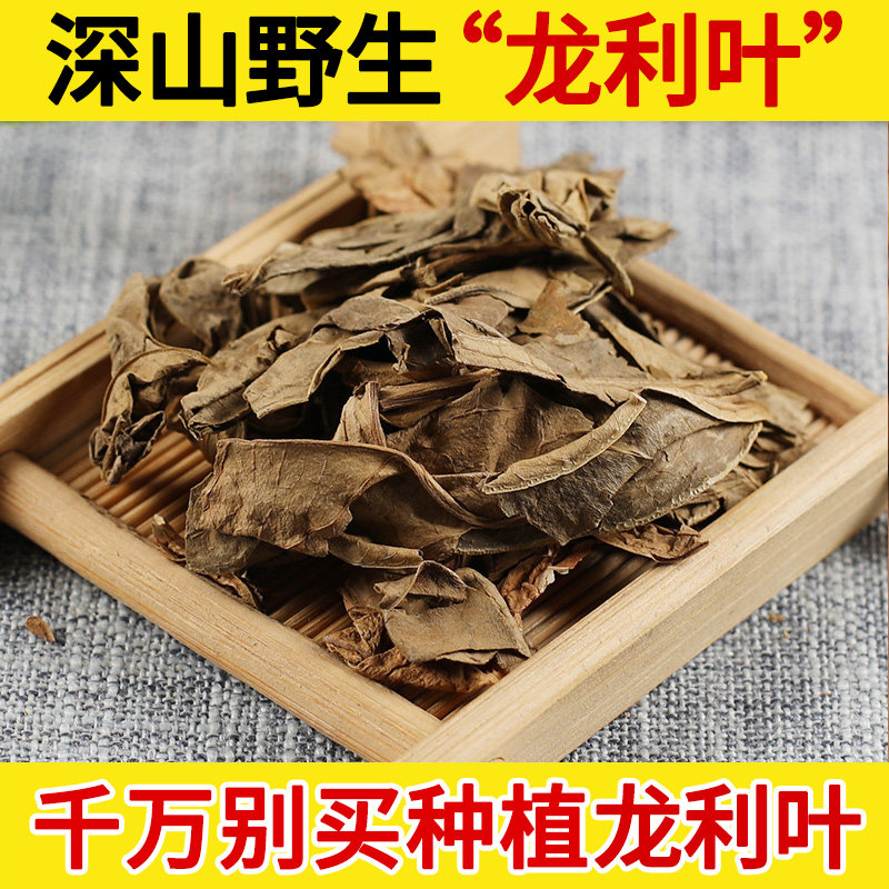 龙利叶野生中药材 龙俐叶 龙脷叶 龙舌叶 龙味叶 龙脷叶中草药