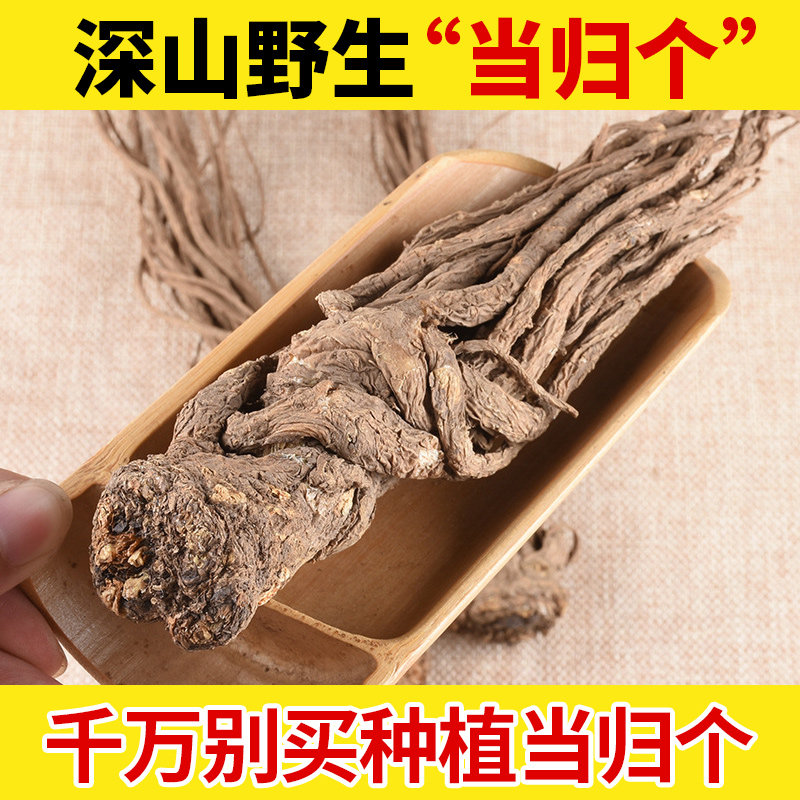 深山野生当归中药材500g当归个