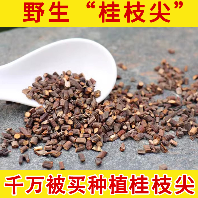 桂枝野生中药材 500g桂枝药材 桂枝尖 香料桂枝泡脚中草药