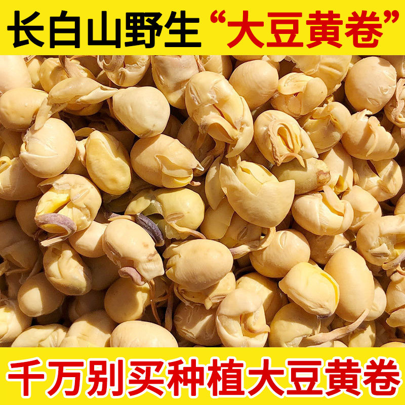 长白山野生大豆黄卷中药材500g 大豆卷 大黄豆卷 黄豆卷