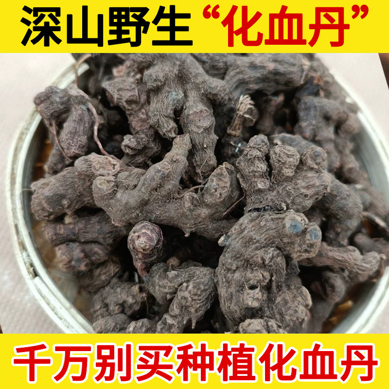 深山野生中药材化血丹500g 血当归 化血丹根 赤胫散 花脸荞花蝴蝶